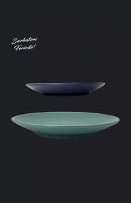 Set Cadou 4 Farfurii MADE Pantone (2 Farfurii Mari Verde Mat 26cm, 2 Farfurii Desert Indigo 21cm)