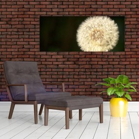 Tablou cu păpădie gri (120x50 cm)
