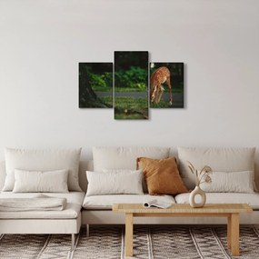 Tablou cu pui de cerb (90x60 cm)