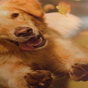 Tablou - Golden Retriever (cu ceas) (90x30 cm)