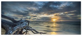 Tablou cu marea în apus de soare (120x50 cm)