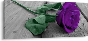 Tablou - Trandafir violet cu tulpina verde (120x50 cm)