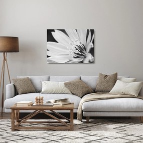 Tablou pe sticlă - Floare albă și neagră (70x50 cm)