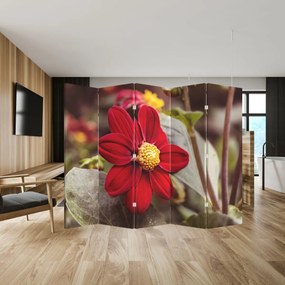 Paravan - Floare (210x170 cm)