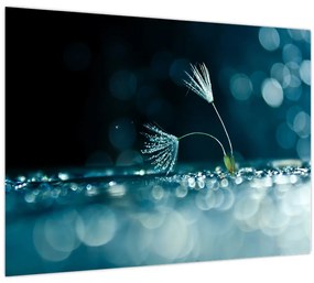 Tablou - Macro (70x50 cm)