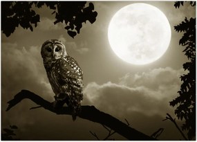 Tablou - Bufniță de noapte, auriu (70x50 cm)