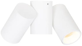Spotlight de design alb cu 2 lumini reglabile - Michael