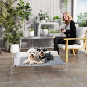PawHut Pat Ridicat cu Pernă Detasabilă, Plasa Ventilată, Talie Medie, Gri Deschis | Aosom Romania