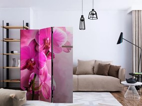 Paravan - Pink Orchid [Room Dividers]