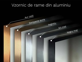 Oglindă cu ramă B22