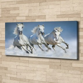 Tablou pe pânză canvas Galopantă cai