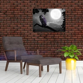 Tablou pe sticlă - Bufniță de noapte, bufniță mov (70x50 cm)