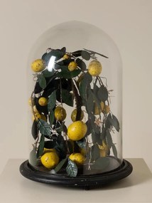 Clopot de sticlă cu lămâi artizanal, „Lemon Precious”