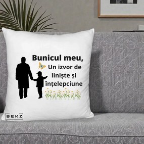 Cadou pentru Bunic - Perna Personalizata Bunicul Meu Izvor de Liniste cu Fluture si Baietel, 40x40 cm, Alb Pufos, Husa Detasabila, Perna Inclusa, BEKZ®