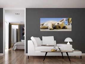 Tablou cu cățeluș dormind (120x50 cm)
