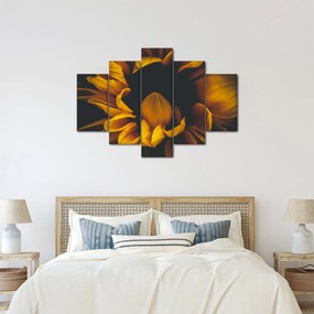 Tablou - Floarea-soarelui în fundal negru (150x105 cm)