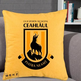 Perna Personalizata CSM Ceahlaul Piatra Neamt Fotbal, 40x40 cm, Galben, Husa Detasabila, Perna Inclusa, BEKZ®