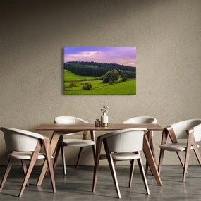 Tablou cu lunca (90x60 cm)