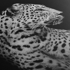 Tablou - Leopardul (cu ceas) (90x30 cm)
