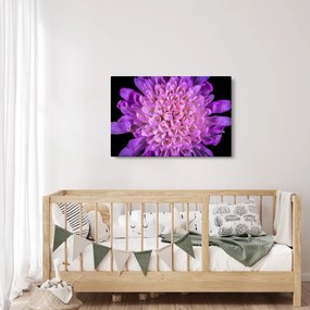 Tablou detailat cu floare (90x60 cm)