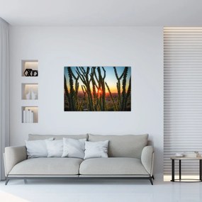 Tablou - Plante (90x60 cm)