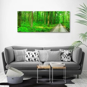 Imprimare tablou canvas Copaci în pădure