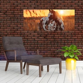 Tablou - Cal la Apus (120x50 cm)