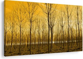 Tablou cu pădure în apus de soare (90x60 cm)