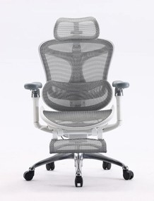 Scaun Ergonomic SIHOO C300, Suport Lombar Inteligent, Tetieră 3D, Cotiere 5D, Șezut Glisant, Spătar Reglabil pe Înălțime, Suport pentru Picioare, Mesh, Gri