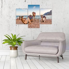 Tablou cu cămile (90x60 cm)