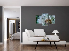 Tabloul cu păpădie desflorit (90x60 cm)