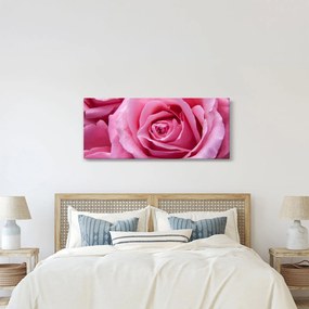 Tablou cu trandafir (120x50 cm)