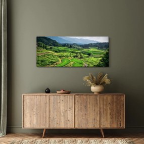 Tablou cu câmp de orez (120x50 cm)
