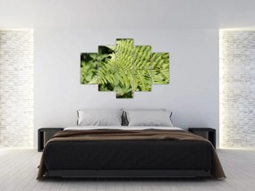 Tablou - Frunză de ferigă (150x105 cm)