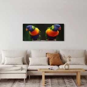 Tablou cu papagali (120x50 cm)