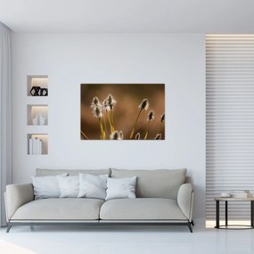 Tablou - Iarbă (90x60 cm)