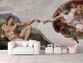 Fototapet.  Michelangelo si Capela Sixtina Art.050068