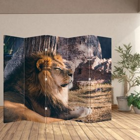 Paravan - Leul dormind (210x170 cm)