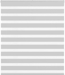 vidaXL Jaluzea tip zebra gri deschis lățime țesătură 125,9cm poliester