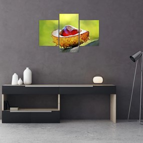 Tablou cu castani (90x60 cm)