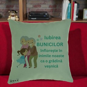 Cadou pentru Bunici - Perna Personalizata Bunicii Iubirea Infloreste cu Nepoata Teal, 40x40 cm, Verde, Husa Detasabila, Perna Inclusa, BEKZ®