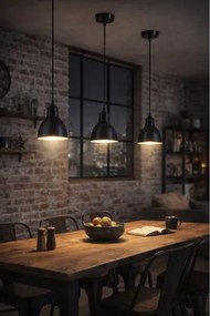 Brilagi RIDDY - Lustră LED pe cablu, 1xE27/60W/230V, neagră