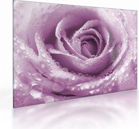 Tablou pe sticlă detaliu de floare de trandafir (70x50 cm)