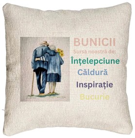 Perna Decorativa Canapea pentru Bunici 8, 40x40 cm, Cu fermoar