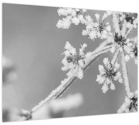 Tablou pe sticlă - Uzină congelată (70x50 cm)