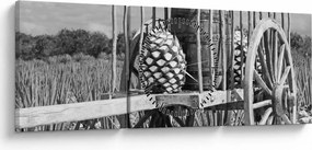 Tablou - Remorcă,alb-negru (cu ceas) (90x30 cm)