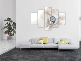 Tablou - Pisica cu ochi albaștri (150x105 cm)