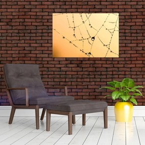 Tablou cu pânză de pâianjen cu rouă (90x60 cm)