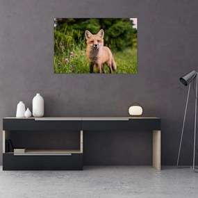 Tablou cu vulpe (90x60 cm)