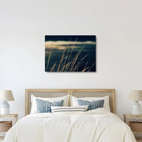 Tablou cu ierburi (70x50 cm)